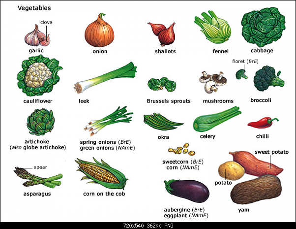 Click image for larger version. 

Name:	vegetables.png 
Views:	30297 
Size:	362.4 KB 
ID:	339