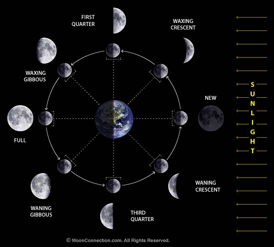 Name:  moon_phases_diagram.jpg
Views: 2635
Size:  26.4 KB
