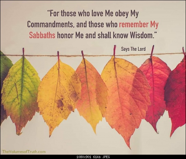 Click image for larger version. 

Name:	FB_IMG_1702146367632.jpg 
Views:	37120 
Size:	61.4 KB 
ID:	547